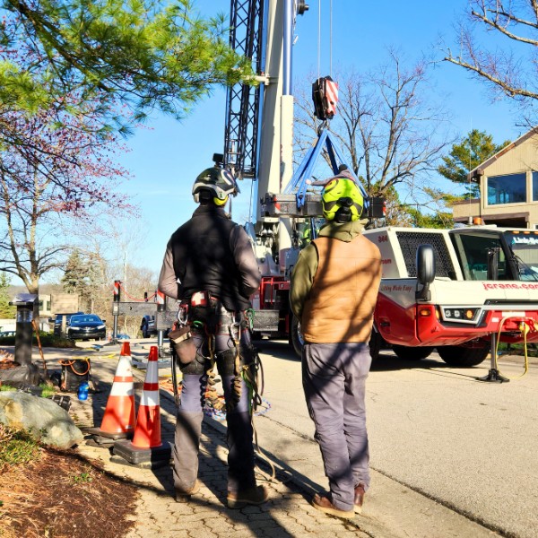 Two arborists in helmets and climbing gear watching a crane truck set up on outriggers at a job site