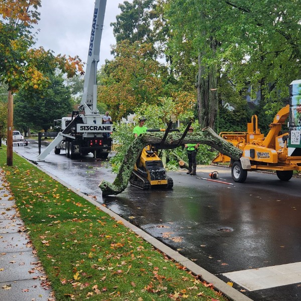 Priority Tree ground crew moving a large tree limb with a mini loader beside a crane and wood chipper on a wet street