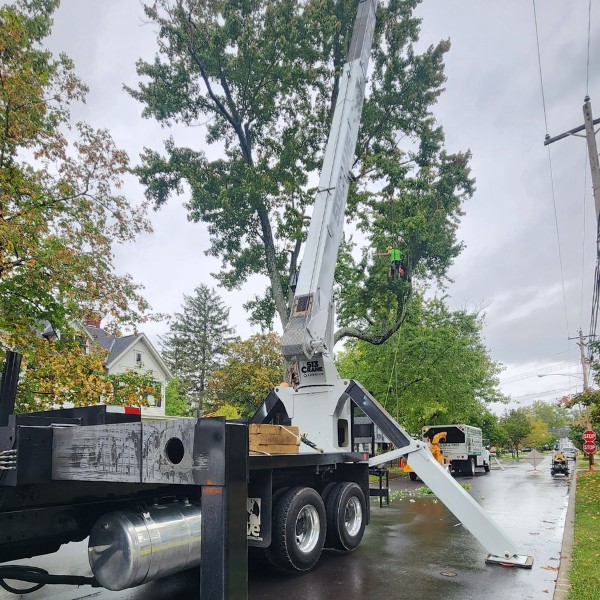 Crane truck removing large tree limbs on a residential street for commercial tree service