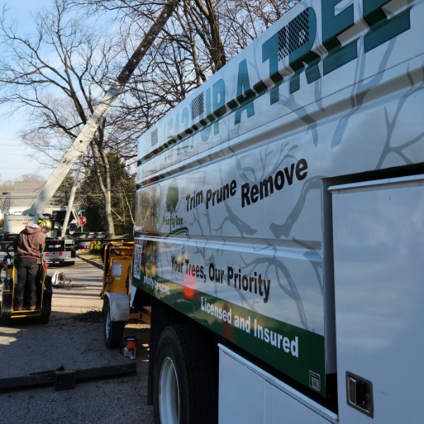 Branded Priority Tree truck reading "Trim, Prune, Remove – Your Trees, Our Priority" with a bucket truck and ground crew working behind it