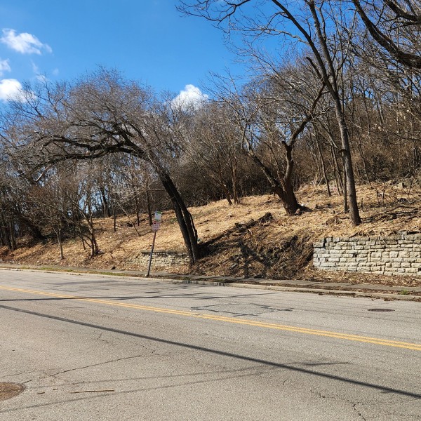 Skid steer with a forestry mulcher attachment clearing brush and small trees near a highway