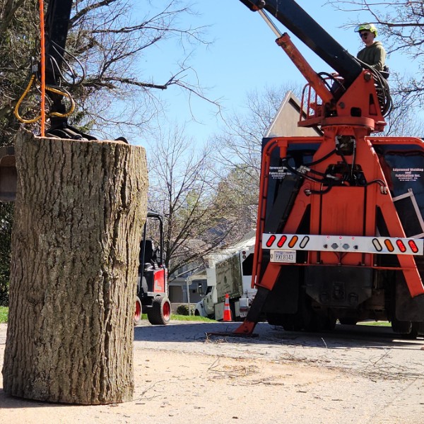 Crane lifting a large log section from a tree removal while the operator works the controls