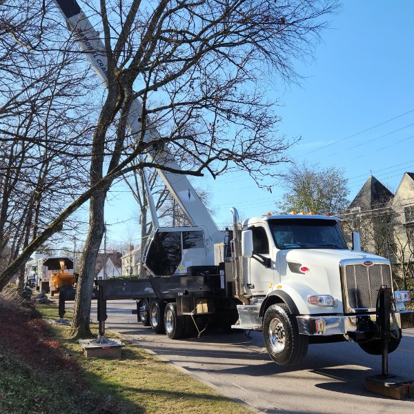 Crane truck removing tree sections from street lined with residential homes