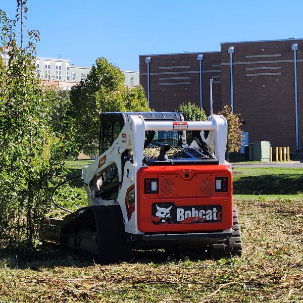 Tracked skid steer with a mulching attachment clearing brush in an open lot