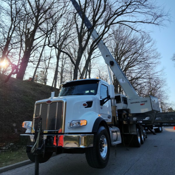 White crane truck set up on outriggers with its boom raised into bare trees on a residential street at sunrise