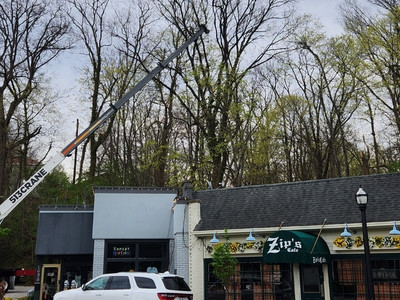 Crane lifting large tree section during removal at commercial property near Zip's Cafe