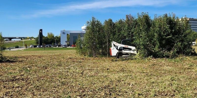 Forestry mulcher clearing dense invasive brush and small trees from an overgrown property.