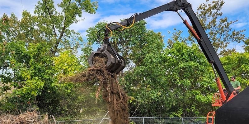 Grapple truck loading tree debris after a tree removal.