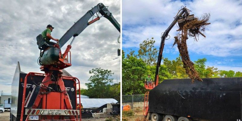 Grapple truck with its boom extended over a pile of tree debris on a residential street, loading limbs into the truck body.