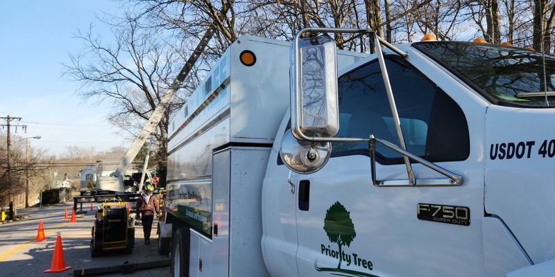 White Priority Tree chip truck parked on a residential street with tree care equipment and a worker behind it.